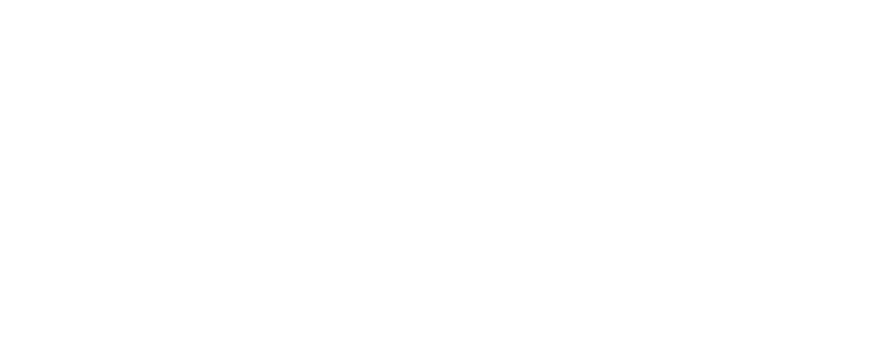 molinacademy.com